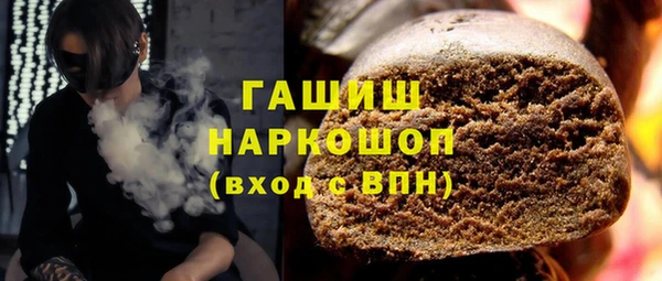 гидра Богданович
