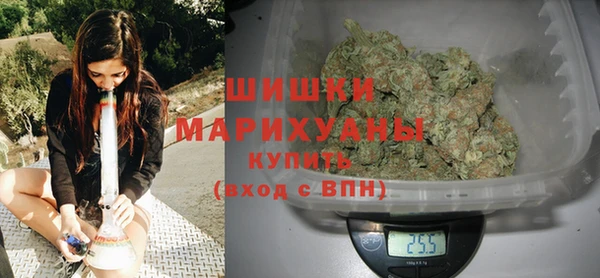 apvp Богородск