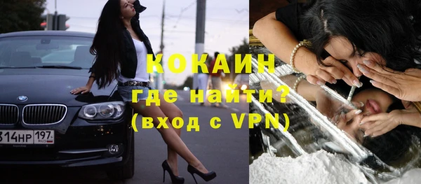 гидра Богданович