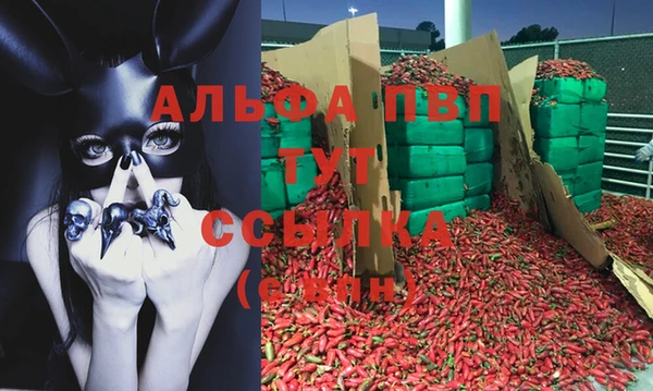 apvp Богородск