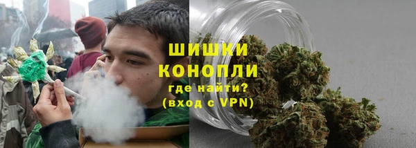 гидра Богданович